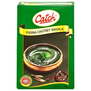 Catch Pudina Chutney Masala 100 g