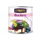 Delta D’frootz Blueberry Fruit Filling 2.7 kg